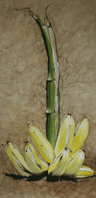 banana palm painting